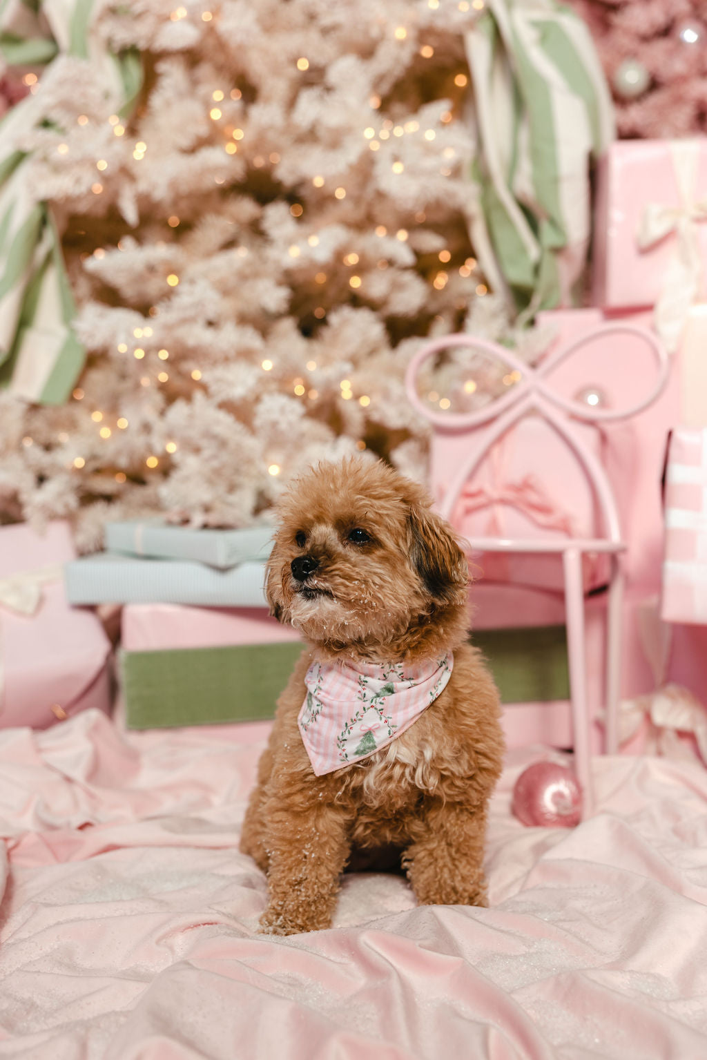 LPC X Tiffany Houghton Bow-Ho-Ho Dog Scarf