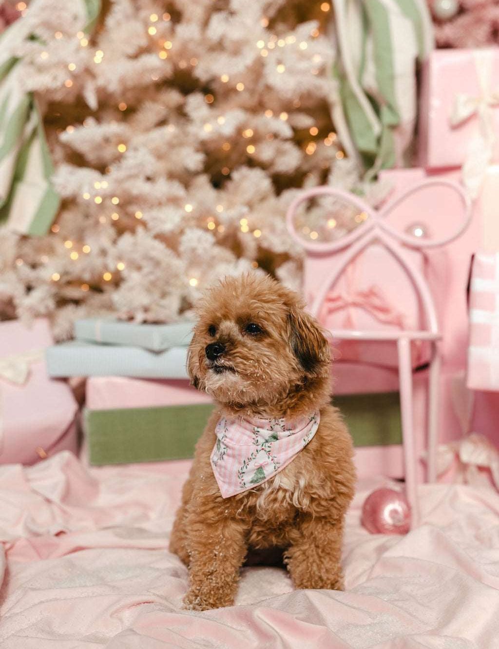 LPC X Tiffany Houghton Bow-Ho-Ho Dog Scarf