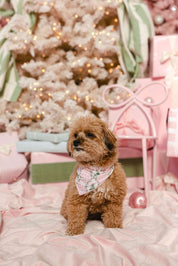 LPC X Tiffany Houghton Bow-Ho-Ho Dog Scarf