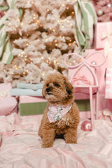 LPC X Tiffany Houghton Bow-Ho-Ho Dog Scarf