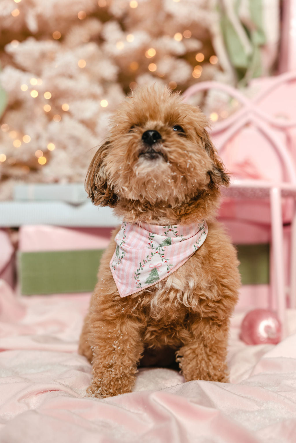 LPC X Tiffany Houghton Bow-Ho-Ho Dog Scarf