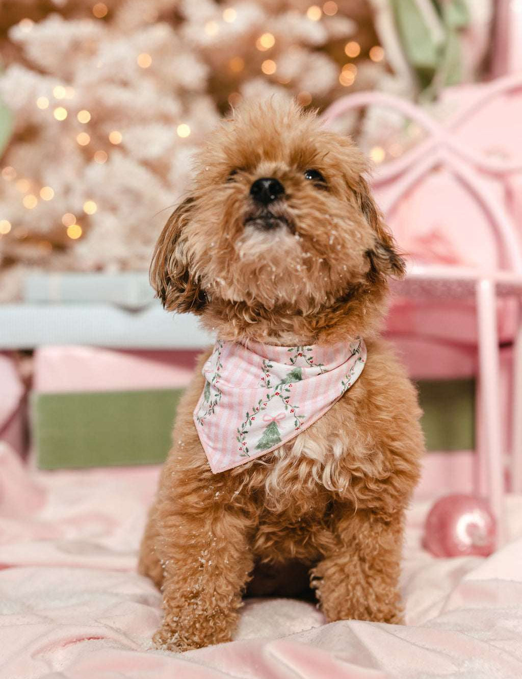 LPC X Tiffany Houghton Bow-Ho-Ho Dog Scarf