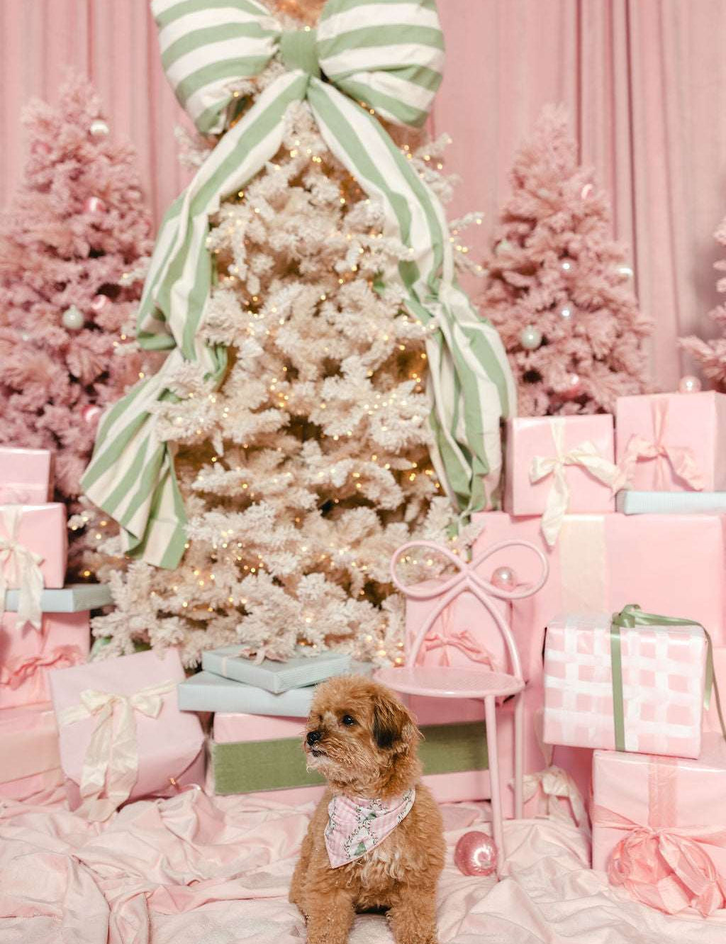 LPC X Tiffany Houghton Bow-Ho-Ho Dog Scarf