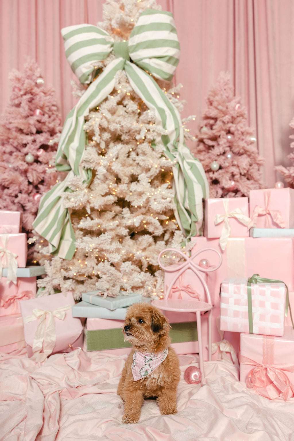 LPC X Tiffany Houghton Bow-Ho-Ho Dog Scarf