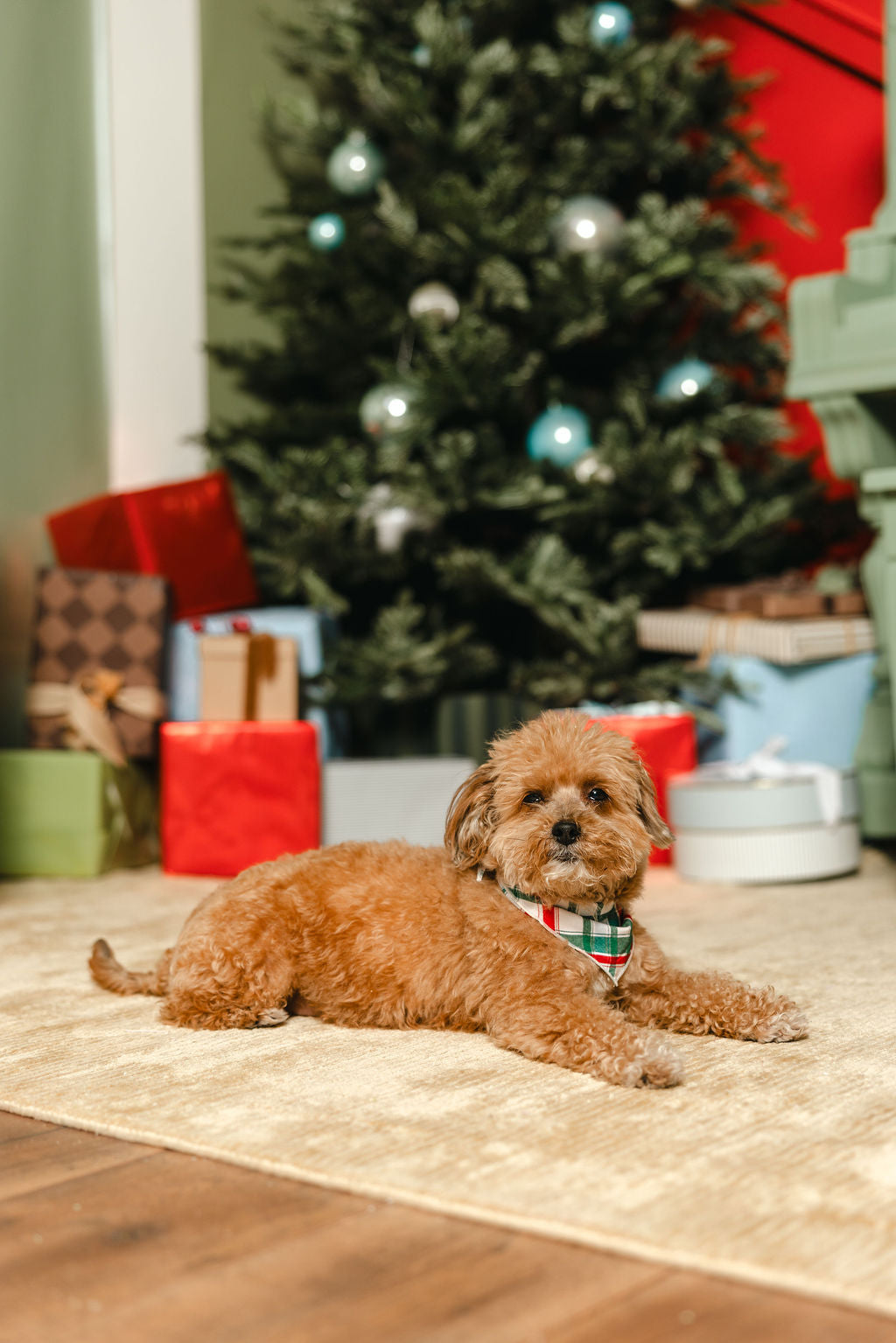 LPC X Tiffany Houghton Christmas Plaid Dog Scarf