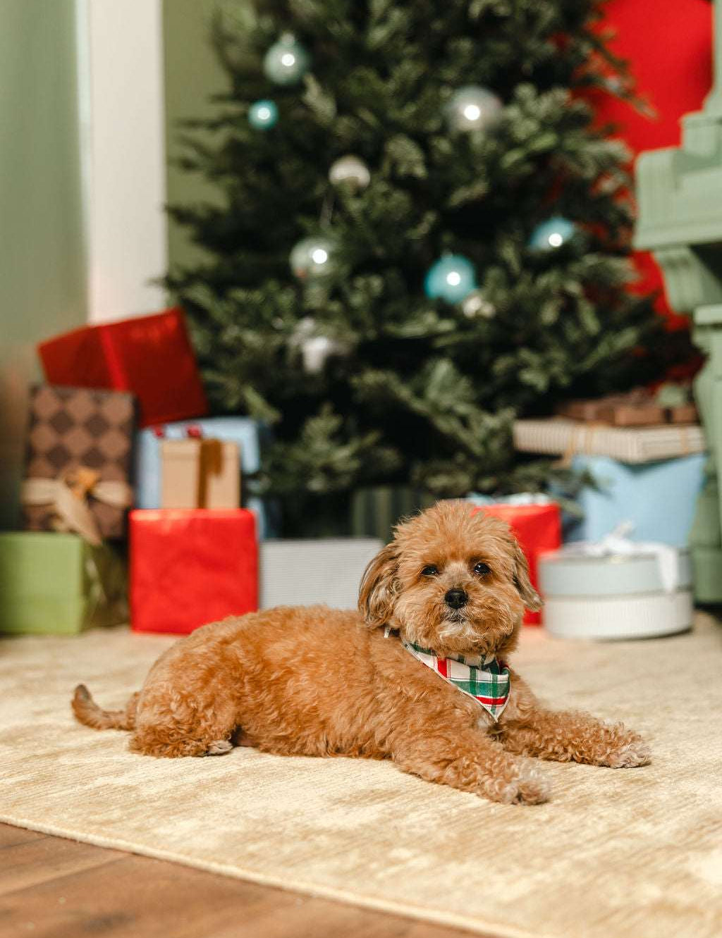 LPC X Tiffany Houghton Christmas Plaid Dog Scarf