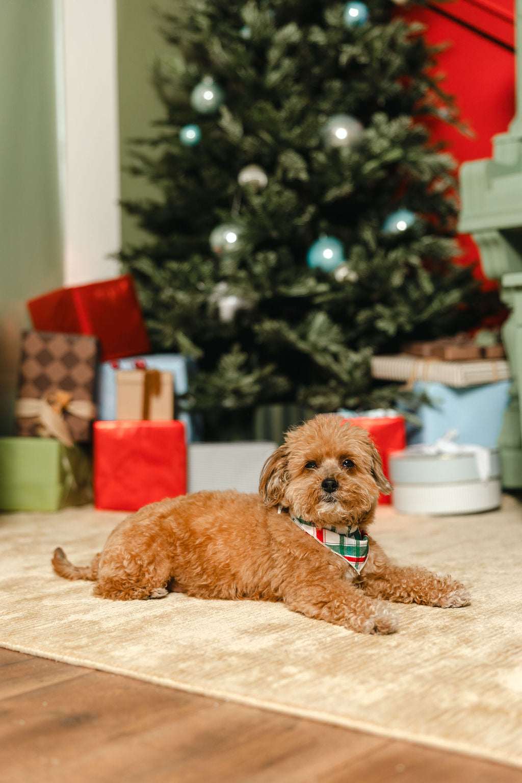 LPC X Tiffany Houghton Christmas Plaid Dog Scarf