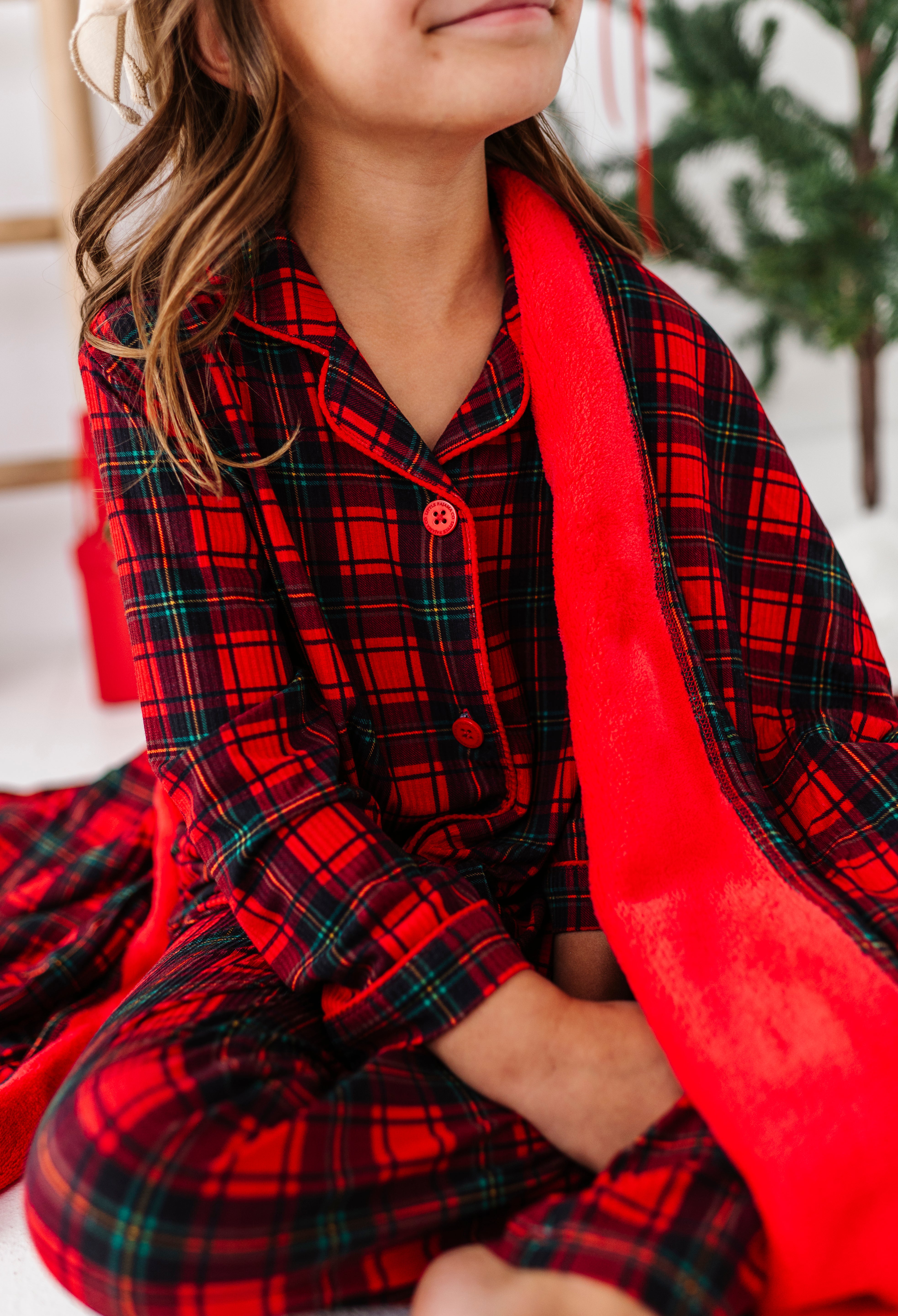 Classic Red Plaid Plush Blanket