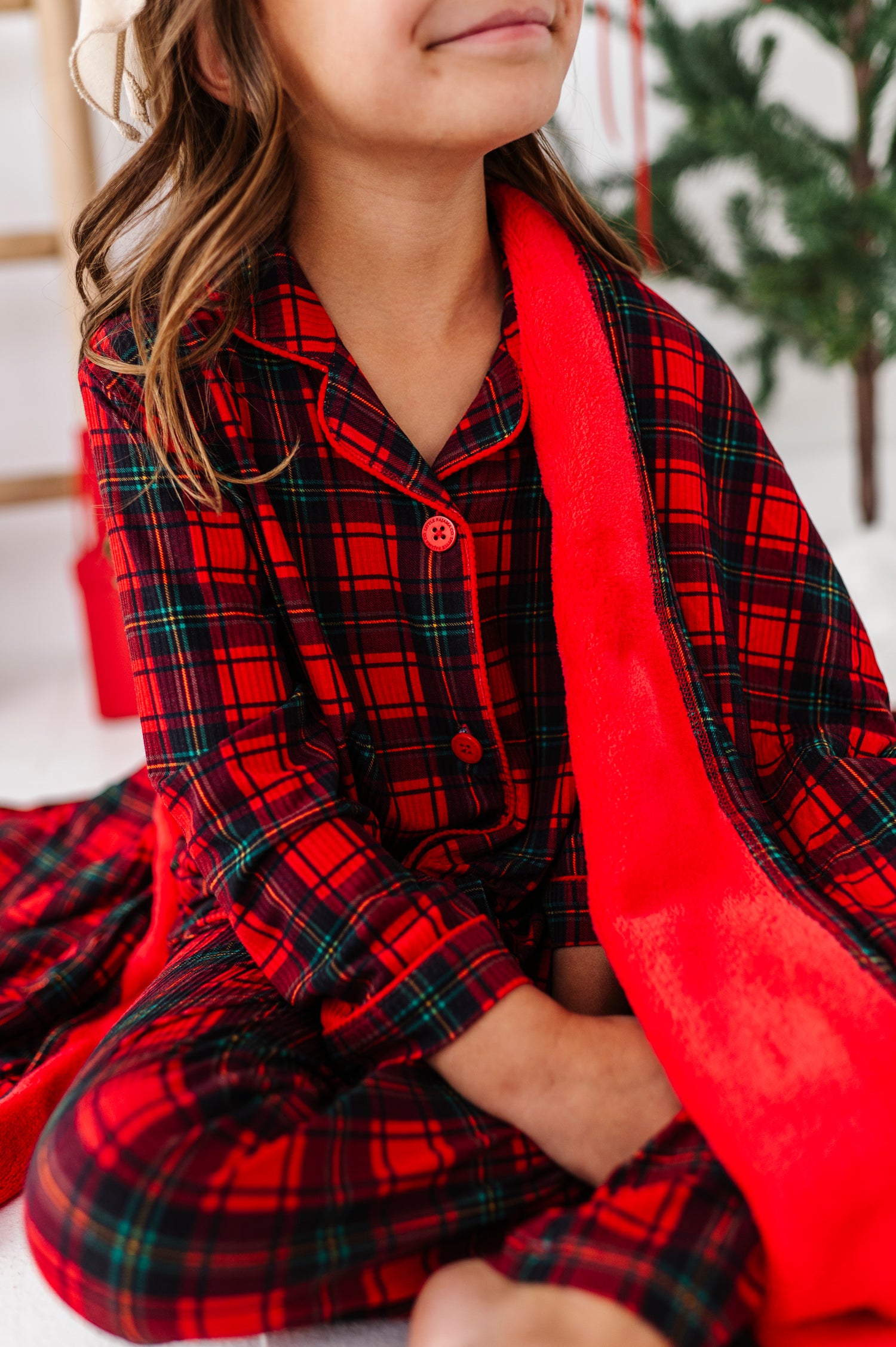 Classic Red Plaid Plush Blanket