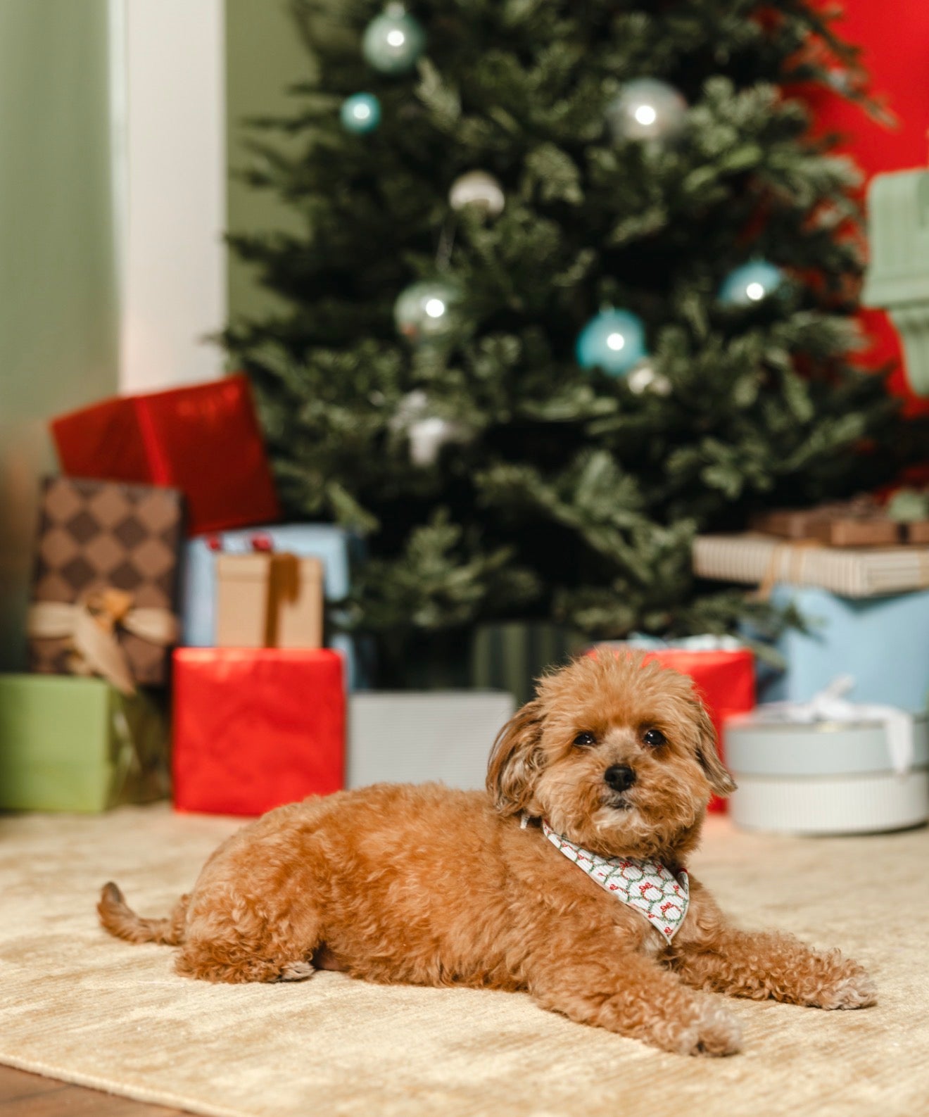LPC X Tiffany Houghton Wreaths and Ribbons Dog Scarf