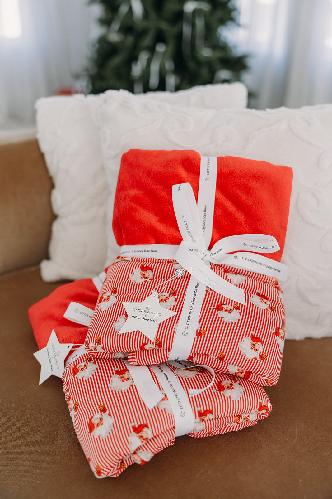 Santa and Cookie Plush Blanket