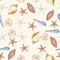 Sea Shells