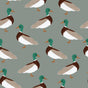 Mallard