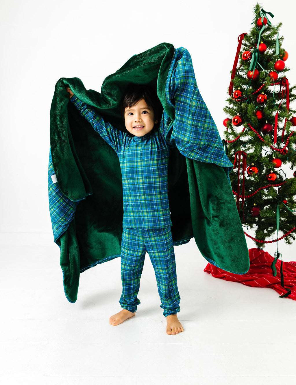 Evergreen Plaid Plush Blanket