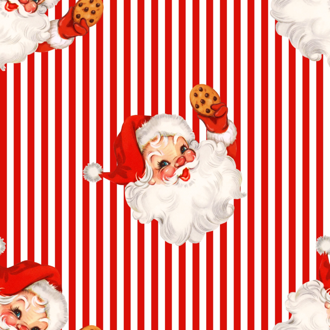 Santa and Cookie Two Piece Pajama Set