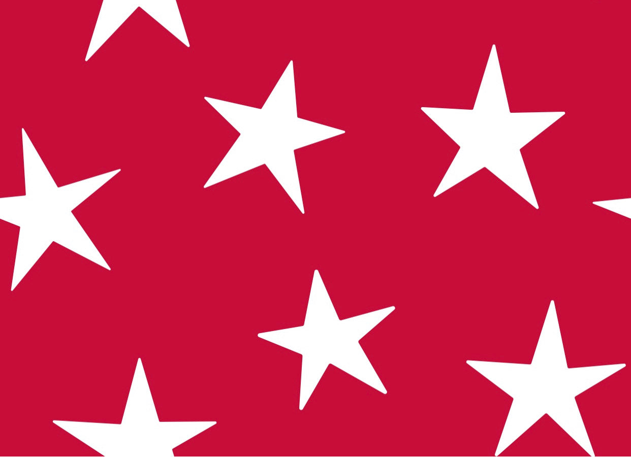 Patriotic Girls Underwear